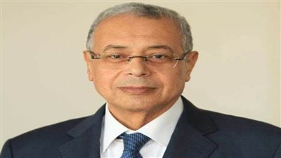 نبيل خشبة مسؤولًا عن صياغة الهيكلة الإدارية باتحاد اليد