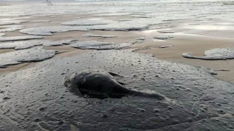 البحر الأسود