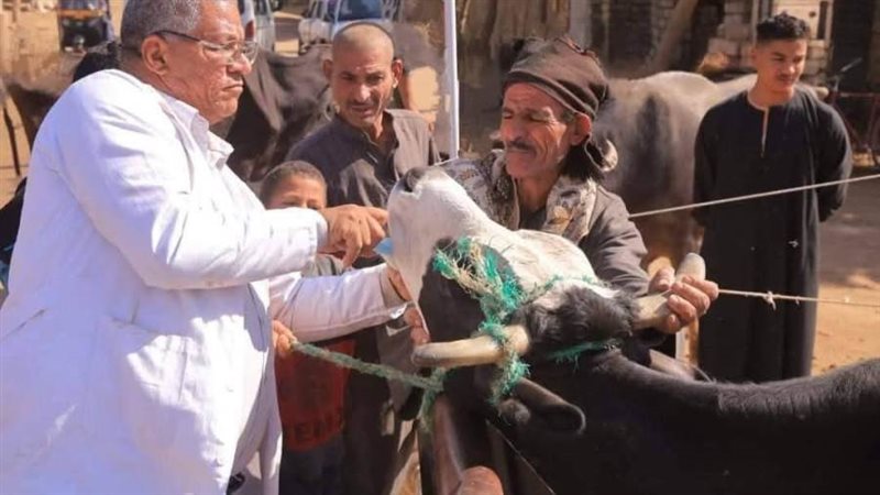 تحصين الماشية