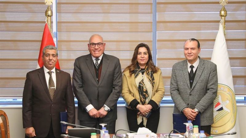 التنمية المحلية والعربية