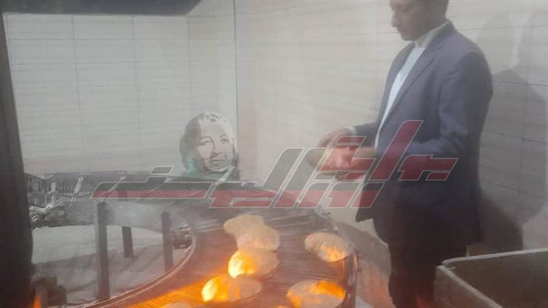 الحملات الرقابية