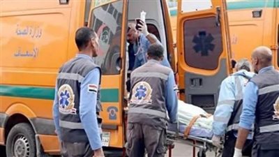 مريض نفسيًا يهشم رأس والدته بعصا خشبية بمركز بدر