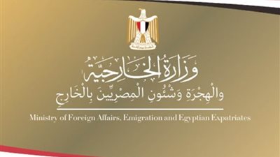 مصر تدين حادث الدهس في مدينة 