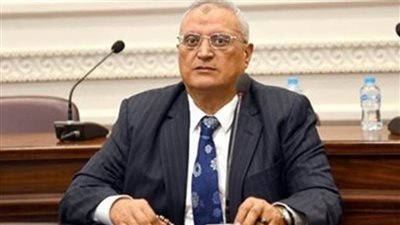 برلماني يشيد بتوجيهات الرئيس باحتواء الضغوط التضخمية وتعزيز احتياطات النقد الأجنبي