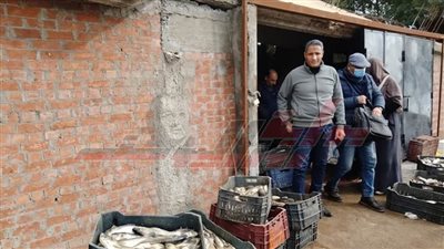 ضبط 3 أطنان أسماك سلفر غير صالحة للاستهلاك الآدمي بكفر الشيخ