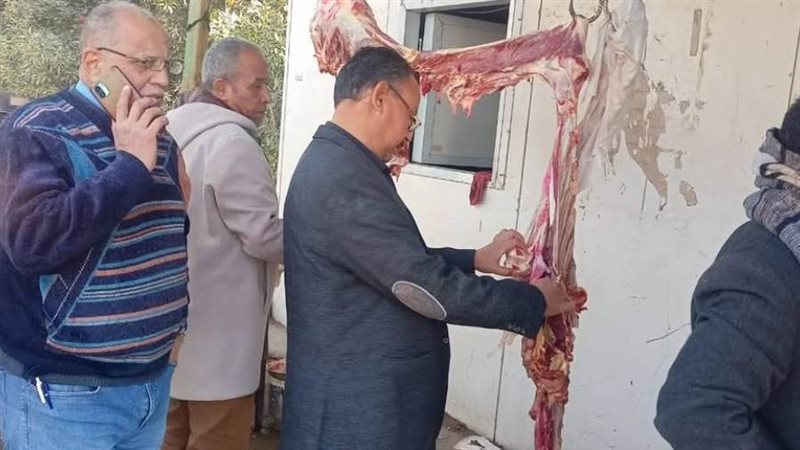 جانب من الحملات