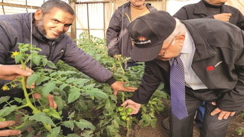 بوابة روز اليوسف