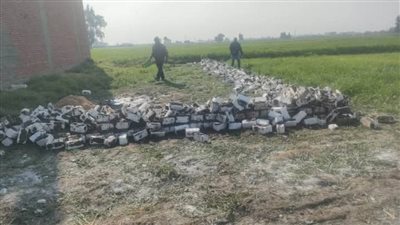 إزالة 13 حالة تعد واسترداد 1380م من أراضي أملاك الدولة بالبحيرة 