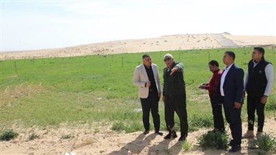 محافظ الوادي الجديد: إطلاق مشروع لتثبيت الكثبان الرملية شمال الخارجة