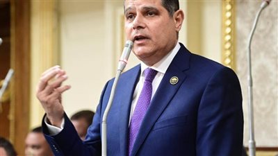 برلماني: القمة الثلاثية نجحت في تحقيق التكامل الاقتصادي والعمل على دفع الاستثمارات المشتركة