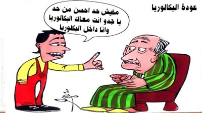 عودة البكالوريا