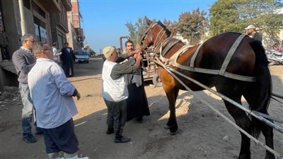  بالصور.. قافلة بيطرية فى قرية 