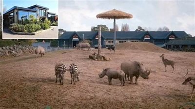 عاجل.. تفاصيل معركة الحمار الوحشي ووحيد القرن في حديقة حيوان