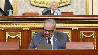 الحكومة ردًا على التعديلات: النص دستوري يستهدف الوصول للحقيقة في حالات إطالة مدة التحقيقات