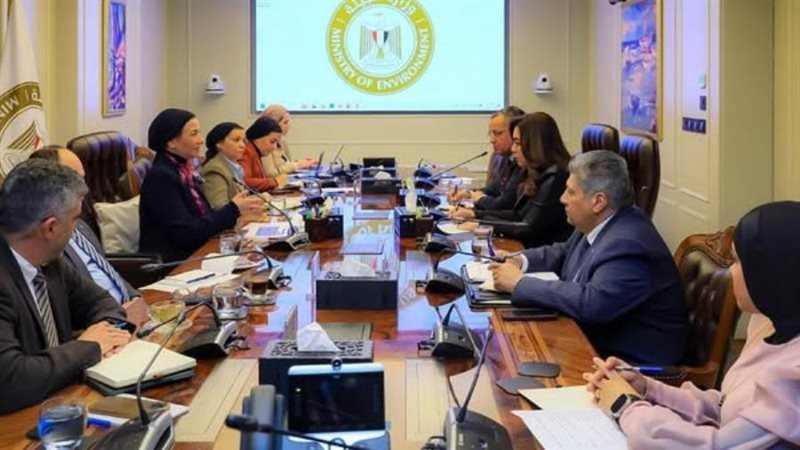 التنمية المحلية و