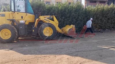 حملة مكبرة لرفع كفاءة الطرق وتحسين شبكة الإنارة ببيلا في كفر الشيخ