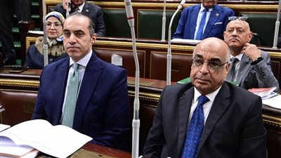 وزير المجالس النيابية: لا يوجد خلاف بين الحكومة وإنما مشاورات 