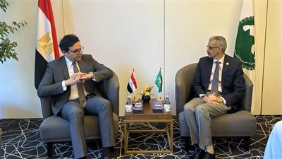 وزير الثقافة يلتقي المدير العام بمنظمة 