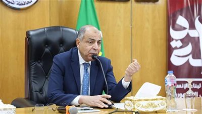 محافظ المنيا: توفيق أوضاع 55 كنيسة ومبنى خدميًا بالمدن والقرى