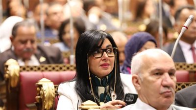 عضو بالشيوخ: القيادة السياسية بذلت جهودًا لإنهاء الصراع داخل قطاع غزة 