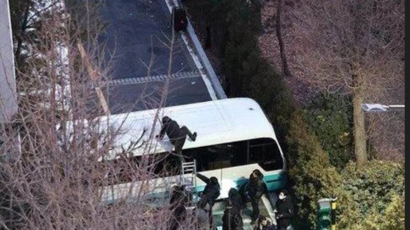 محقق يستخدم سلما