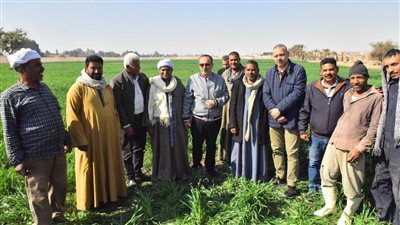 محافظ أسيوط يتفقد أعمال زراعة 150 فدانا من محصول القمح 