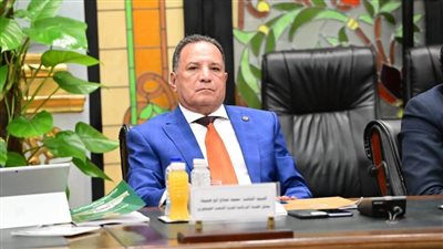 الشعب الجمهوري: القمة المصرية الإماراتية أكدت أهمية تحقيق الاستقرار في المنطقة