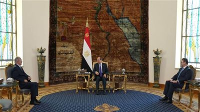 الرئيس السيسي: مصر تبذل كل ما في وسعها لضمان الأمن والاستقرار في ليبيا