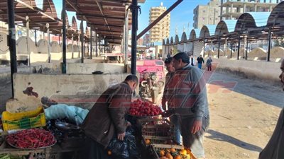 ضبط طن وربع لانشون فاسد قبل بيعها في الأسواق بكفر الشيخ