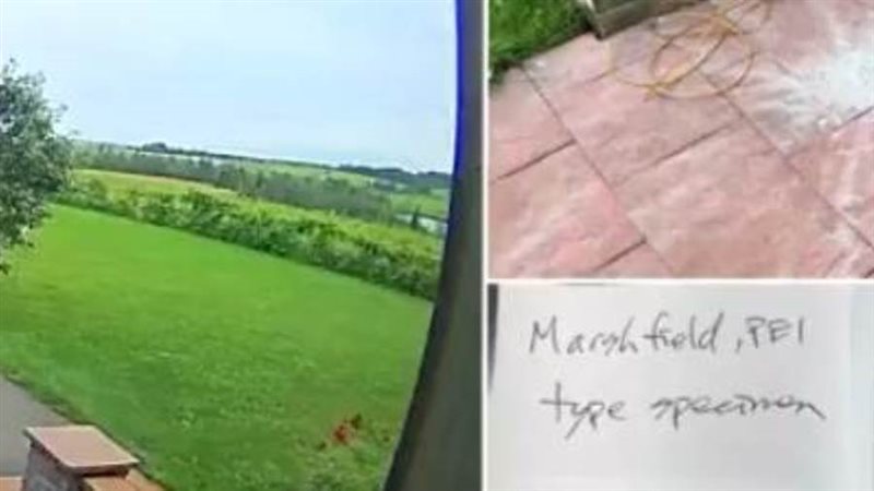 موقع النيزك