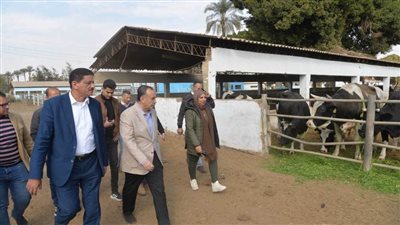 محافظ أسيوط يتفقد مزرعة الثروة الحيوانية بقرية أبنوب الحمام لمتابعة سير العمل بالمزرعة 