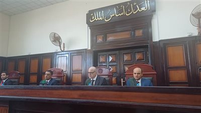  بسبب مشاجرة حريم.. السجن المشدد 15 عاما لـ عامل قـتل شقيق زوج شقيقته بأسيوط