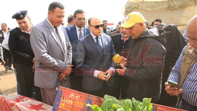 تسجيل 30 صنفًا من محاصيل الخضر المختلفة بكفر الشيخ