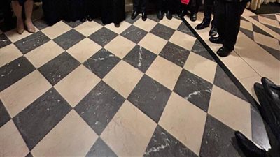 وزير الخارجية: القيادة السياسية حريصة على تقديم الرعاية القصوى للمصريين في الخارج 