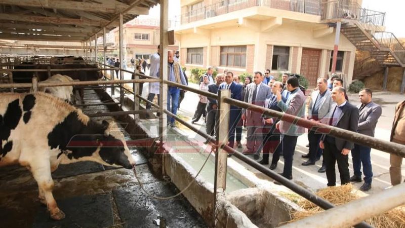 جولة المحافظ