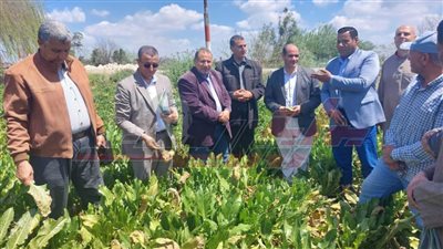 ندوة جديدة عن المعاملات الخاصة لمحصول بنجر السكر بكفر الشيخ