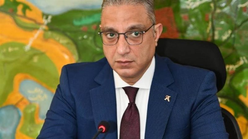 الدكتور أحمد الأنصارى