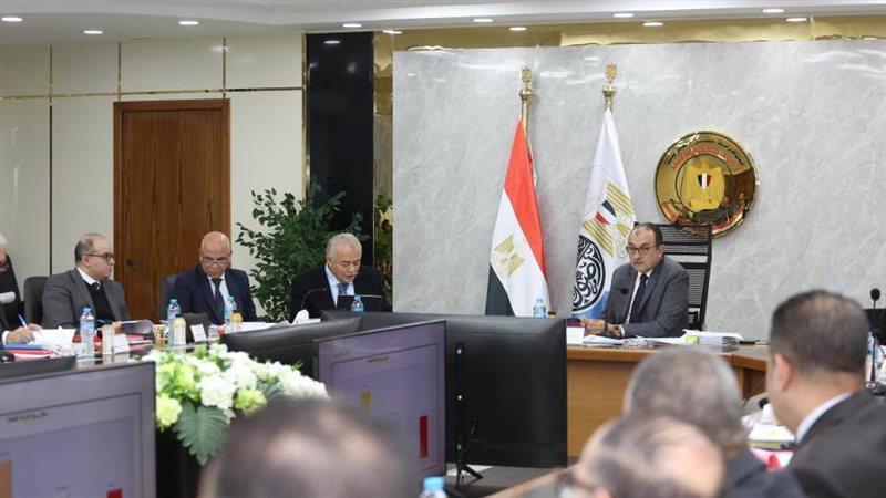 وزير قطاع الأعمال