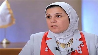 الهلال الأحمر: مصر سهلت كافة الإجراءات لضمان وصول المساعدات إلى قطاع غزة