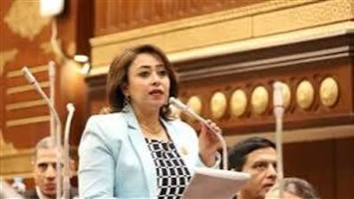 حقوق إنسان النواب: كلمة الرئيس «بعيد الشرطة» حملت رسائل صادقة ومطمىنة لكل المصريين