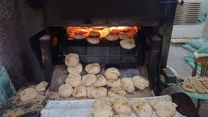 حملات تموينية متنوعة