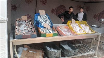 افتتاح سوق اليوم الواحد بنطاق برج العرب بالإسكندرية 