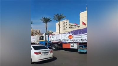 من بورسعيد الباسلة لـ فلسطين.. انطلاق أكبر قافلة دعم للأشقاء بـ غزة