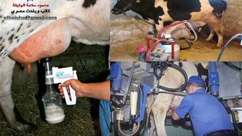 اقتصاديات إنتاج اللبن