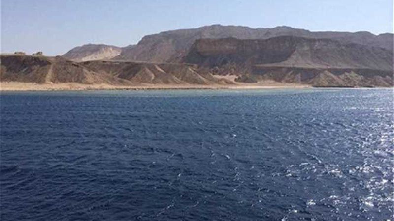 دفاع الحكومة يتقدم