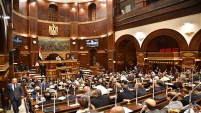 مجلس الشيوخ: نتابع باهتمام بالغ أطروحات تروج لتهجير الفلسطينيين