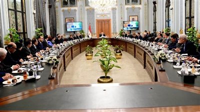 تحرك عاجل من اللجنة العامة بمجلس النواب بشأن موقف مصر من القضية الفلسطينية