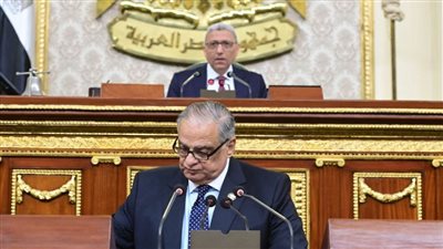 عاجل.. مجلس النواب يرفض أي تعديلات على المادة 