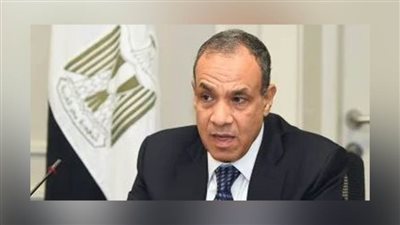 بالفيديو.. كلمة وزير الخارجية بجلسة مجلس حقوق الإنسان الدولي في جنيف