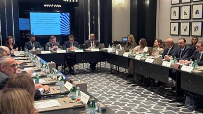 وزير الصحة يشارك في المائدة المستديرة لمجلس الأعمال المصري الأمريكي بدبي